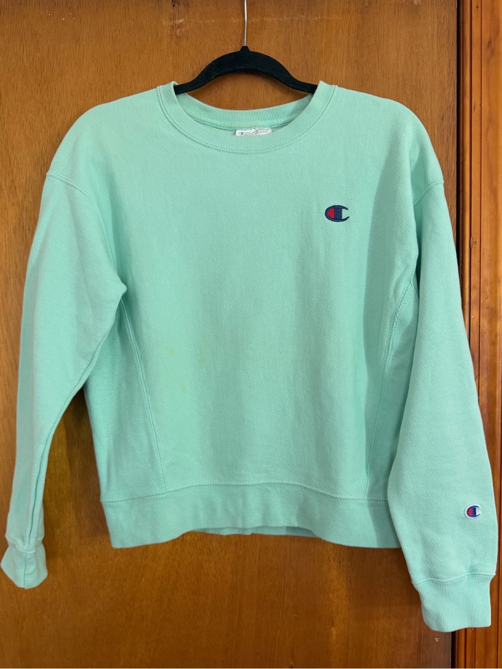 VINTAGE Rare Champion Women’s Mint Green Crewneck Sweatshirt